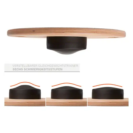ARTZT thepro balance-gyro Wobblesmart,  39 cm