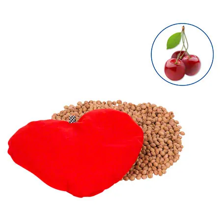 Cherry core heart, 23x20 cm