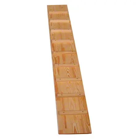 Chicken ladder for wall bars with 9 bars, LxW 240x35 cm