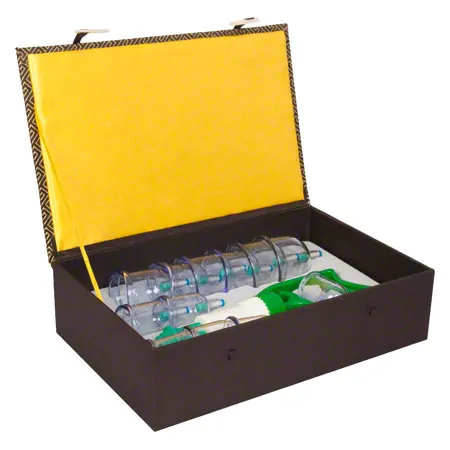 Cupping glass-set with vacuum pump, 18-piece