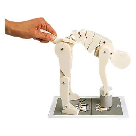Demonstration figure - Proper lifting -