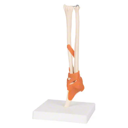 Elbow joint, LxWxH 13x13x37 cm
