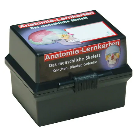 Flashcards skeletal system in the card box, 303 cards