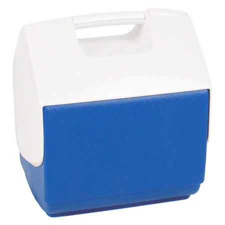 Icebox small, 6,6 l