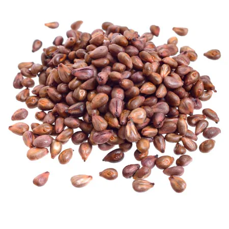 ManuTherm filling grape seeds for ManuThermBox, approx. 15 liters