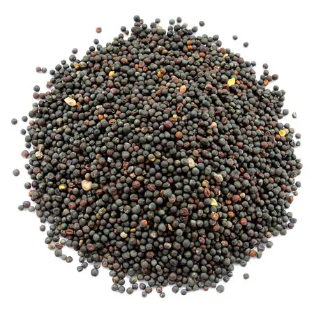 ManuTherm filling rape seed for ManuThermBox, approx. 15 liters