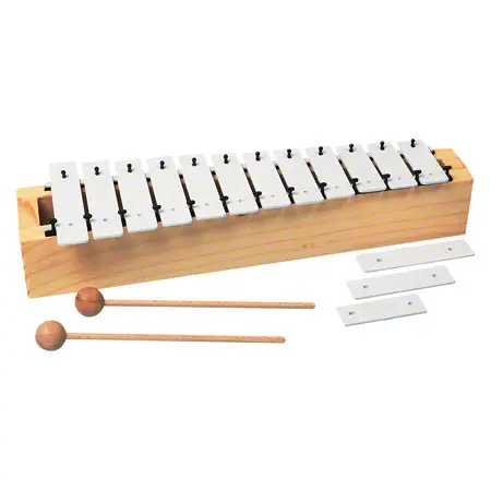 Metallophone with 2 rackets