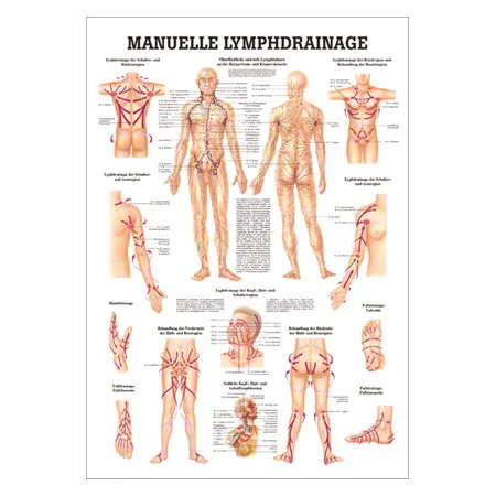 Mini-Poster - Manual Lymph Drainage - L x W 34x24 cm
