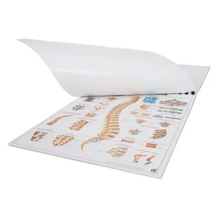 Mini Poster Set, 20 pieces