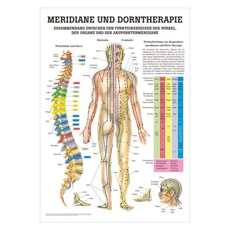 Mini-Poster - meridians and thorn - , LxW 34x24 cm