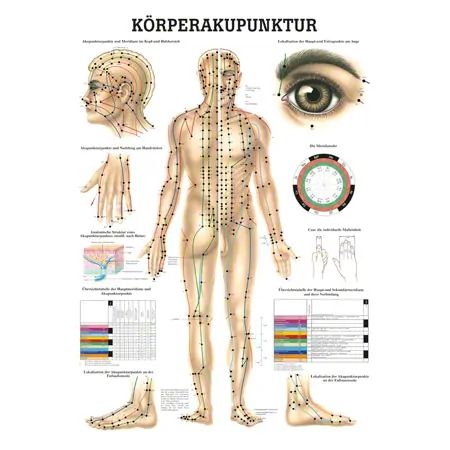 Mini-poster - acupuncture - , L x W 34x24 cm