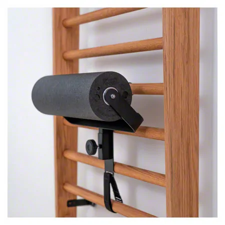 NOHRD Spine Coach for wall bars