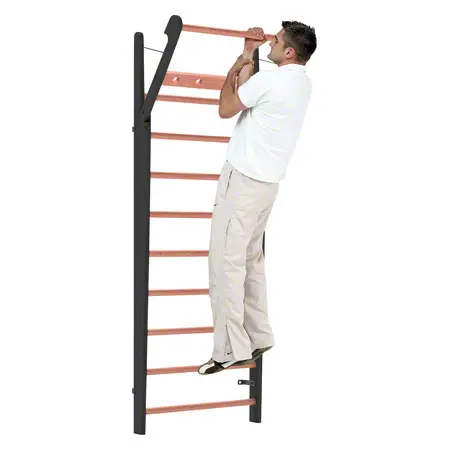 NOHrD Wall bars Club-Sport, foldout, HxWxD 230x80x13 cm, 10 bars