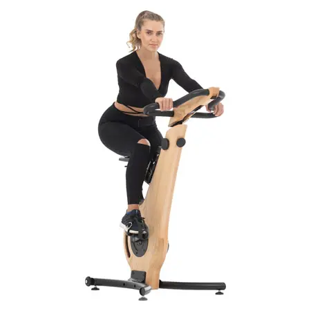 NOHrD bike ergometer ash-tree