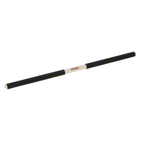 Pedalo training rod, anthracite