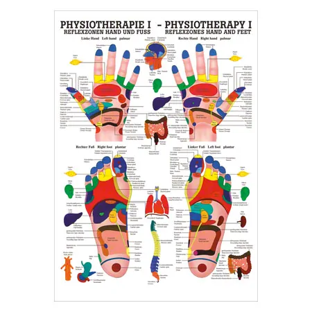 Poster - Reflex zones - , L x W 70x50 cm