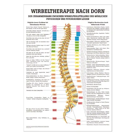 Posters - Spinal therapy Dorn - L x W 70x50 cm