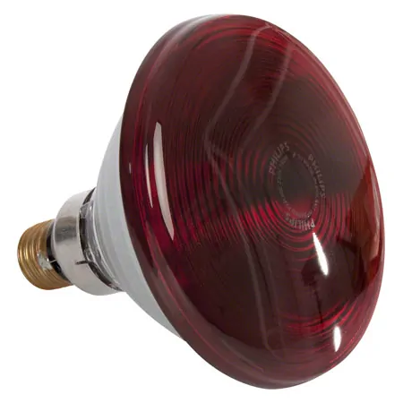 Replacement lamp for red light emitter, 150 watts