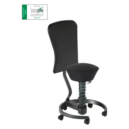 Swopper Work 3D Active office chair with a backrest, 50-120 kg, black