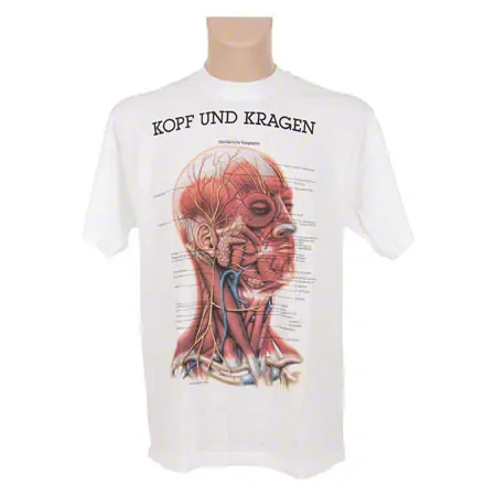 T-Shirt - head & neck, - size XL