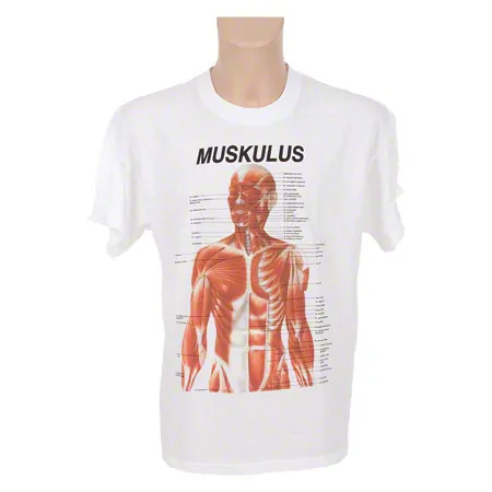 T-Shirt - muscles - , size XL