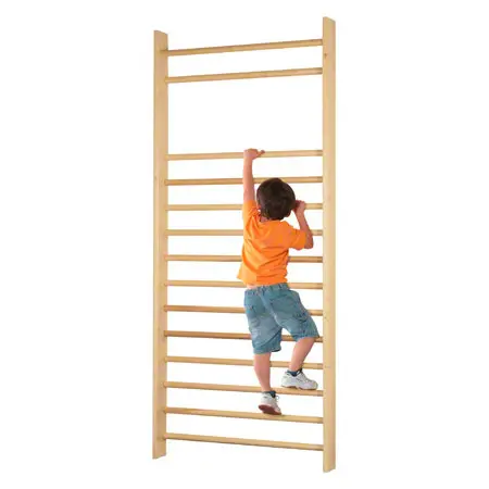Wall bars, WxH 100x230 cm, 14 bars