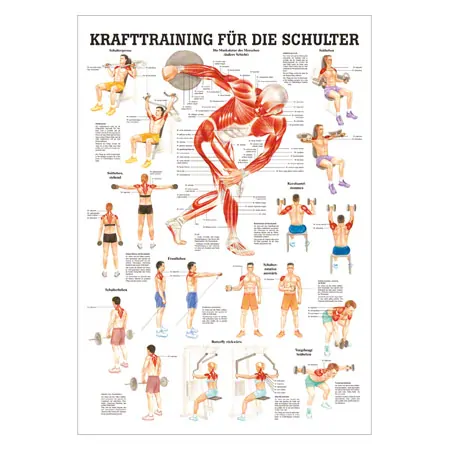 Wall chart - Strength training for your shoulder -, LxW 100x70 cm