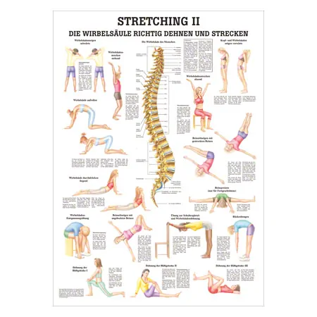 Wall chart - Stretching II - , LxW 100x70 cm