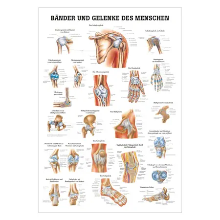 Wall chart - Tapes & joints - , LxW 100x70 cm
