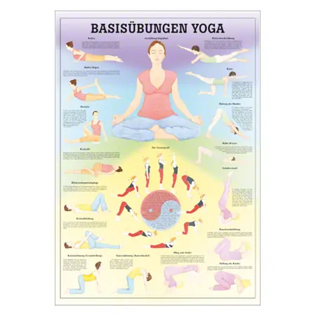 Wall chart - basic exercises yoga - , LxW 100x70 cm