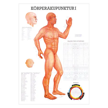 Wall chart - body acupuncture I - , LxW 100x70 cm