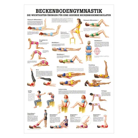 Wall chart - pelvic floor exercises, - LxW 100x70 cm