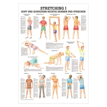 Wall chart - stretching I - , LxW 100x70 cm