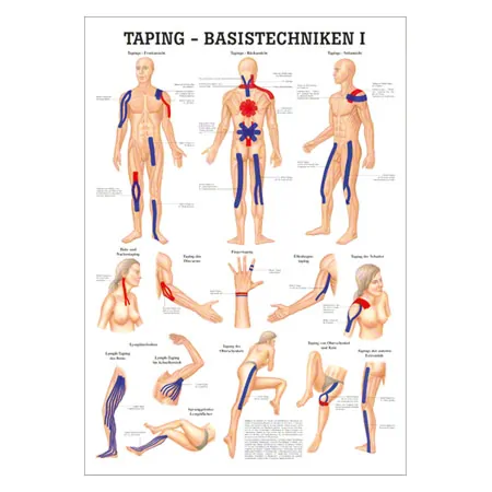 Wall chart - taping-basic techniques I - , LxW 100x70 cm