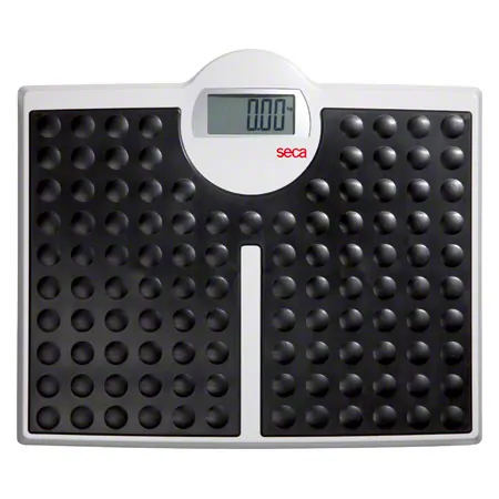 seca bathroom scale Robusta 813