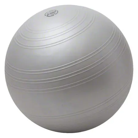 TOGU exercise ball Powerball Challenge ABS,  55-65 cm, silver-gray