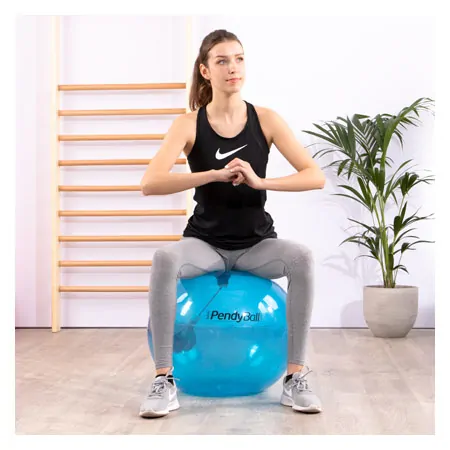 PEZZI exercise ball PendyBall, 4 kg pendulum,  75 cm, blue