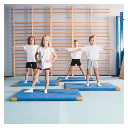 Lightweight gym mat with leather corners, 150x100x6 cm