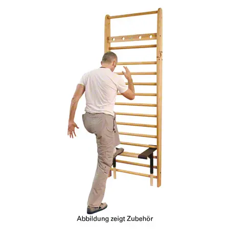 NOHrD multi-adapter pull up bar and dip station for wall bars