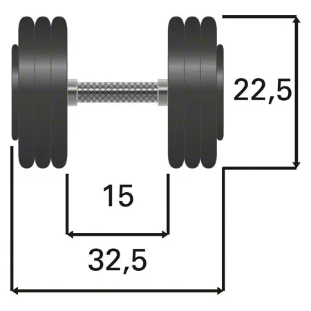 Dumbbells made of rubber, 27.5 kg, one piece
