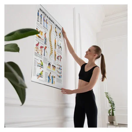 Wall chart - Right or wrong for your back, - LxW 100x70 cm