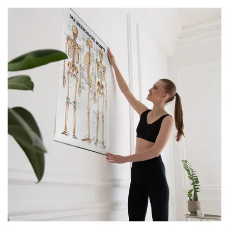 Wall chart - The human skeleton - , LxW 100x70 cm