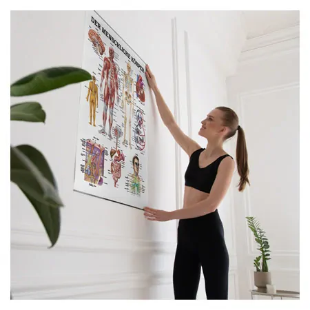 Wall chart - The human body - , LxW 100x70 cm