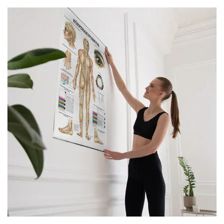 Wall chart - body acupuncture, - LxW 100x70 cm