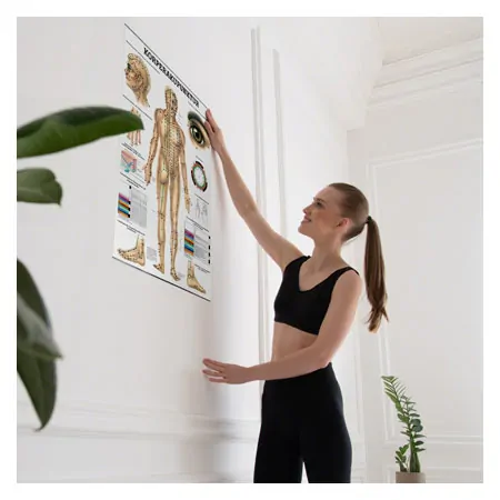 Posters - body acupuncture - L x W 70x50 cm