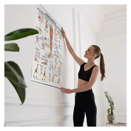 Wall chart - stretching III - , LxW 100x70 cm