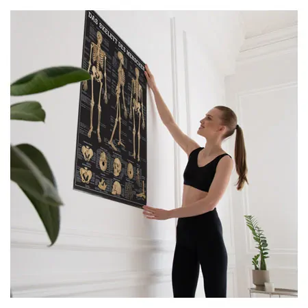 Wall chart - The human skeleton - LxW 100x70 cm