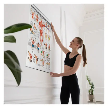 Wall chart - Strength training for your back -, LxW 100x70 cm