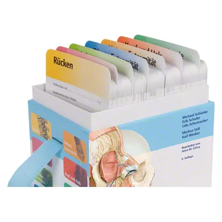 PROMETHEUS Anatomy flashcards, 460 cards
