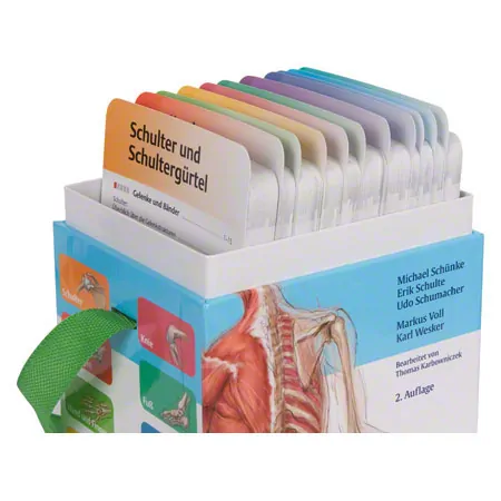 PROMETHEUS Anatomy Flashcards about musculoskeletal system, 460 cards